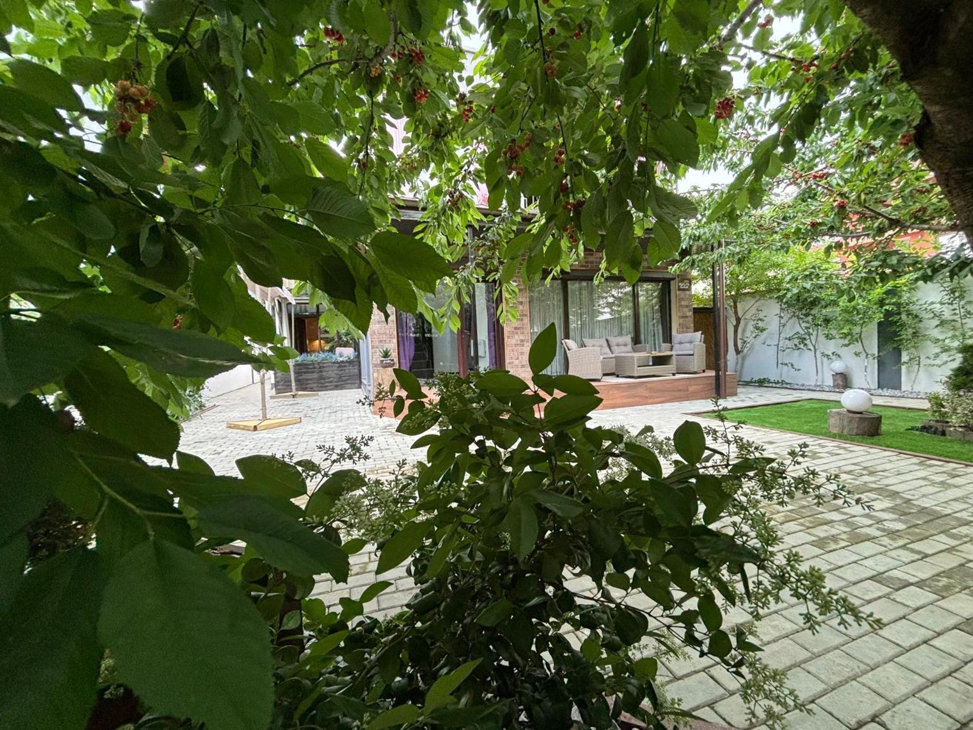 Hugo'S House Vila Costinesti Exterior foto